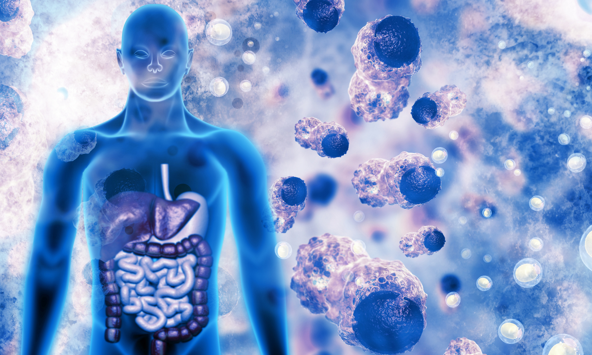 Illustration of a person with their internal organs visible Illustration of a person with their internal organs visible