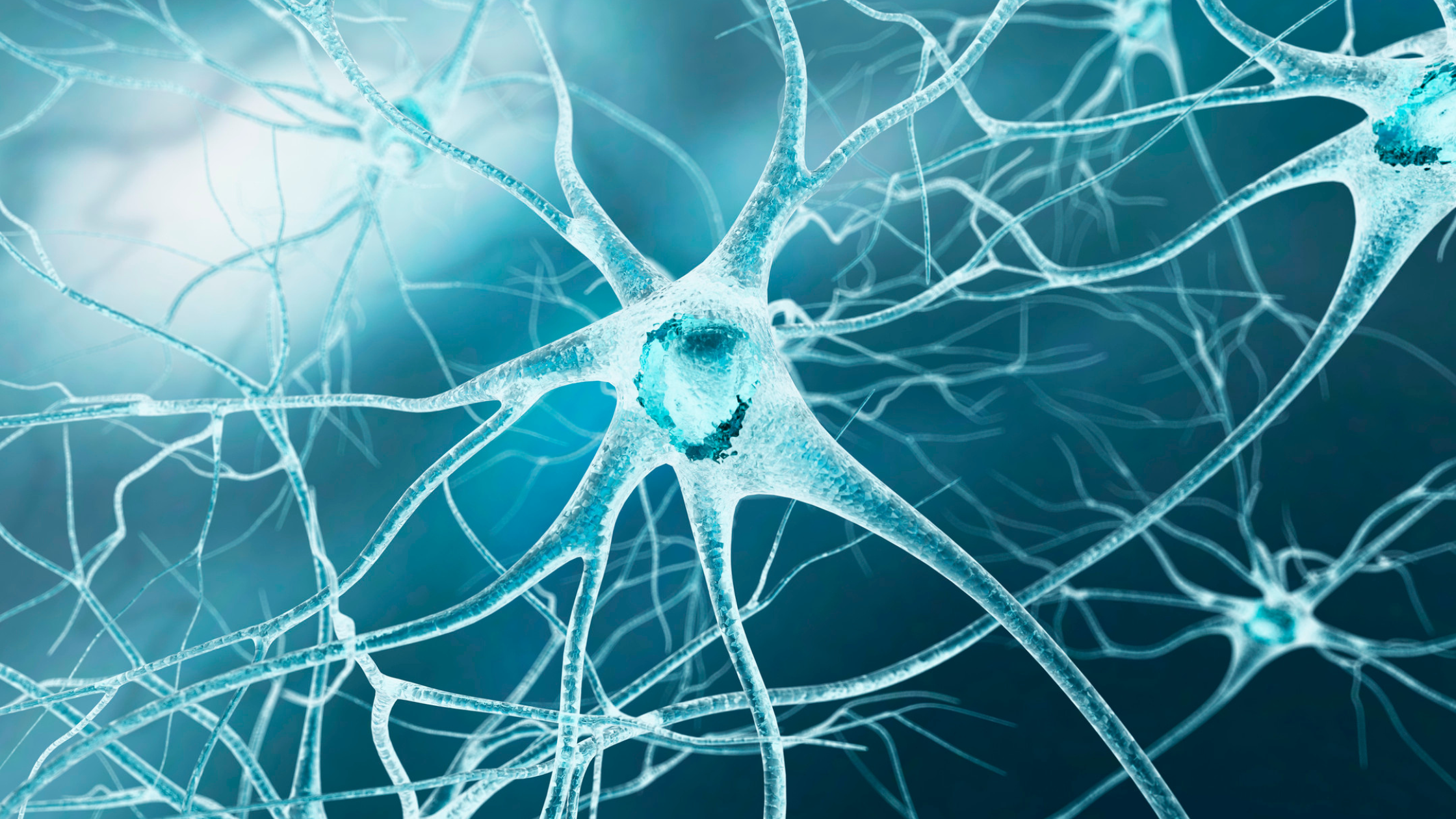 there are many conditions that can cause nuerogenic bladder there are many conditions that can cause nuerogenic bladder